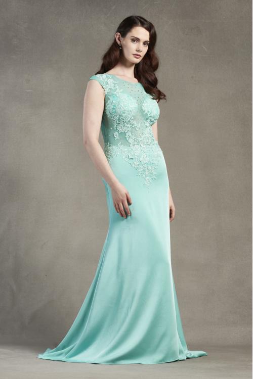 Sleeveless Illusion Neck Lace Appliques Sheath Long Satin Chiffon Prom Dress 