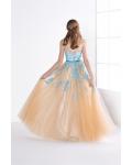 Ball Gown Sweetheart Lace Appliques Long Champagne Tulle Prom Dress with Ribbon