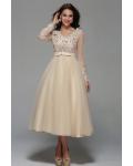 Long Sleeve Lace Tea Length A-line Champagne Tulle Short Prom Dress with Ribbon 