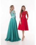 Chic Vintage Half Sleeves A-line Red Tulle Coast Prom Dress