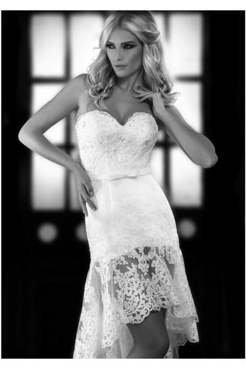 Charming Sheath/Column Sweetheart Beading&Sequins Lace Short/Mini Lace Wedding Dresses 