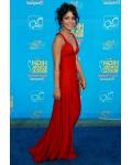 Vanessa Hudgens Red High School Musical Celebrity Dressed V Neck Red Carpet Dress 