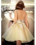 Vintage Floral Lace A-line Knee Length Short Champagne Organza Short Prom Dress